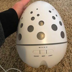 Egg Shaped Diffuser